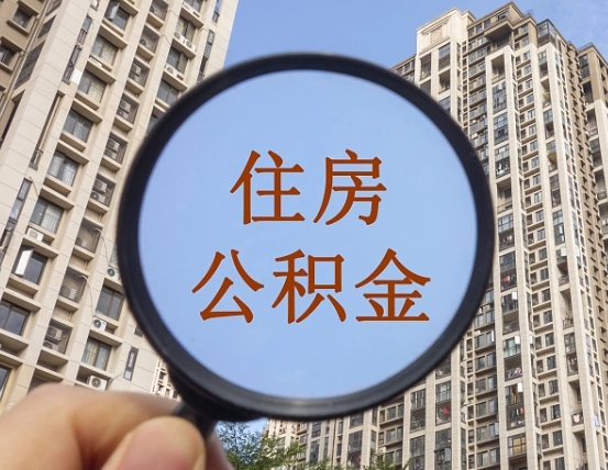 鹤岗退休后查不到公积金明细了吗（退休后公积金查询不到原因）